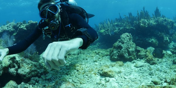 TDI Helitrox Diver